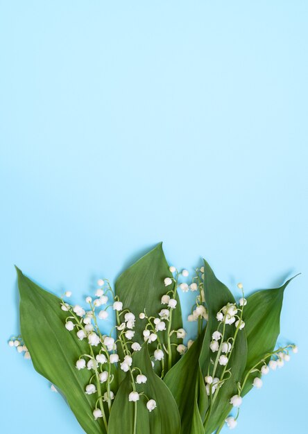 Blossoming lily of the valley on blue vertical background. copy space.