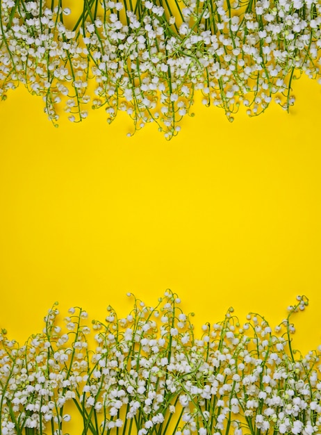 Blossoming white lilies of the valley 