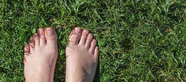 Blote voeten op groen gras. selfie. Vrouwelijke voeten op het groene gras. Rustieke levensstijl. Uitzicht van boven.