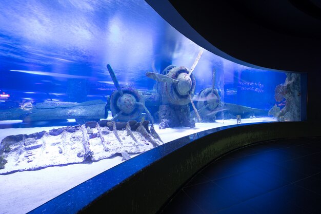 Interno blu dell'acquario