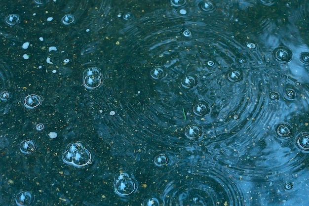 blue background puddle of rain / raindrops, circles on a puddle, bubbles in the water, the weather is autumn