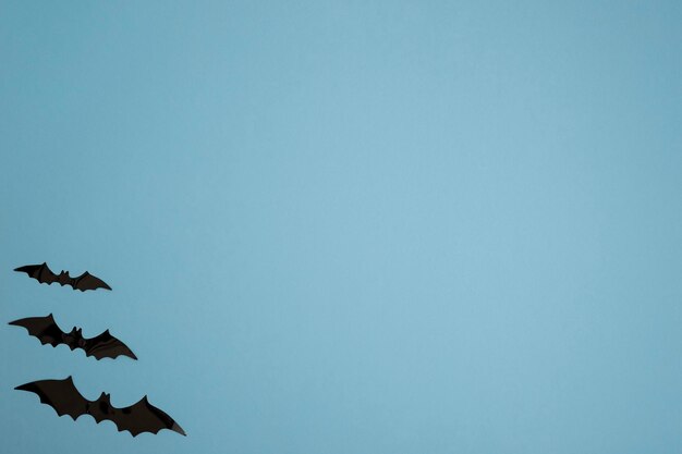 Photo blue background with bats in the lower left corner copy space halloween