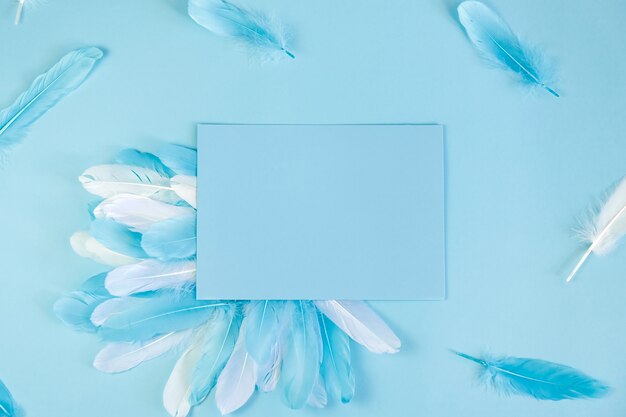 Blue background with feathers and paper for notes, copyspace.