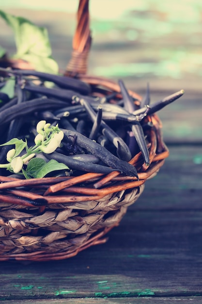 Blue beans in a large basket, close-up