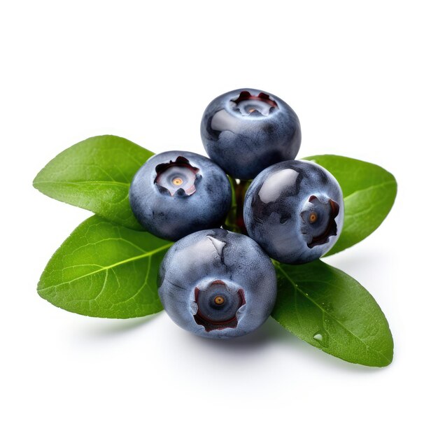 Blue berry isolated on white background Blueberries with leaves