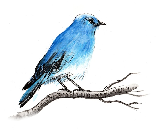 Blue bird sitting on a tree branch. Ink and watercolor drawing