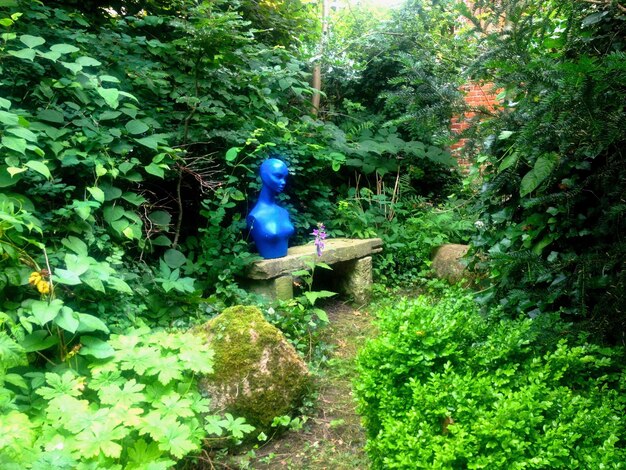 Blue bird on tree against plants