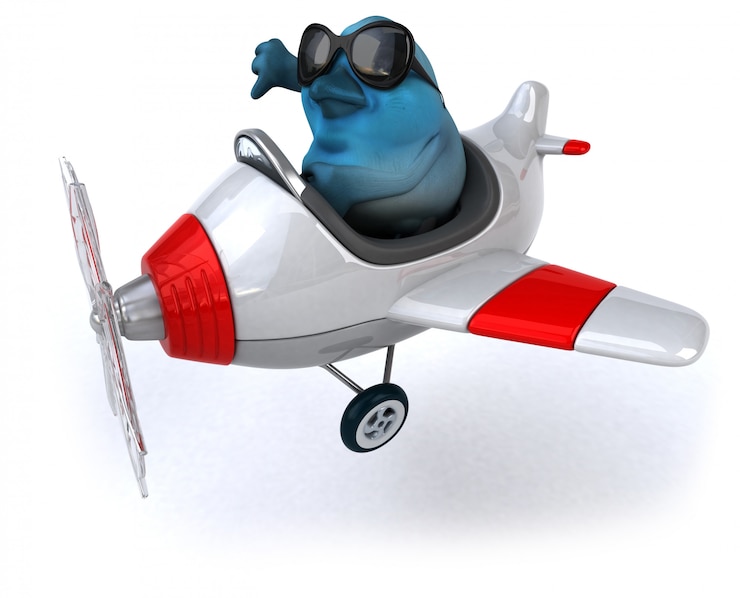 Photo blue bird