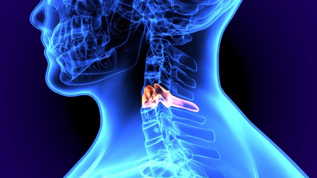 a blue and black image of a human neck and back pain