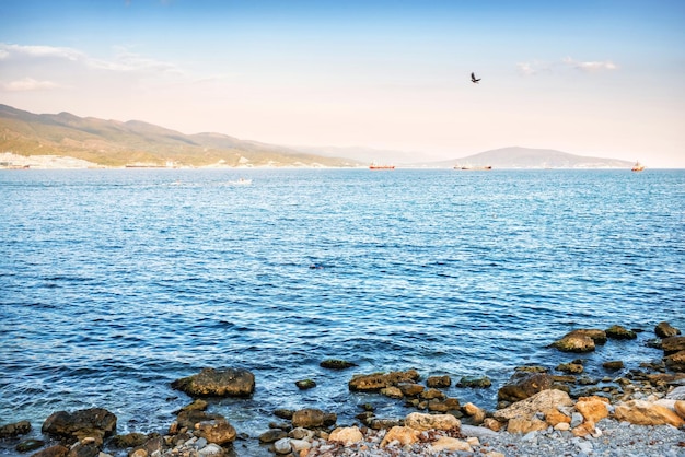 Foto ammiraglio del mar nero blu serebryakov argine territorio di krasnodar novorossiysk