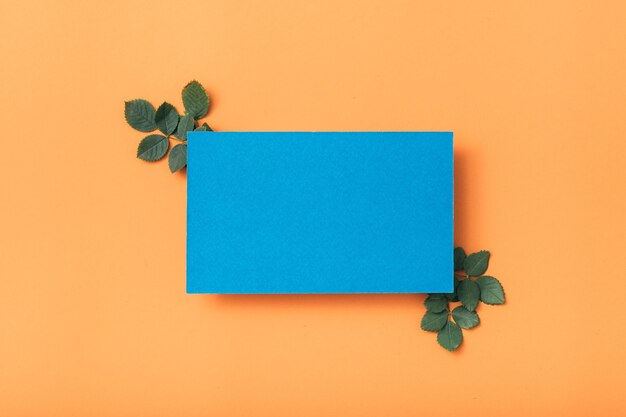 Photo blue blank paper note or card with green leaves decor.