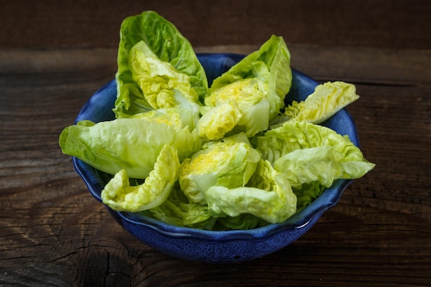 Blue bowl of fresh lettuce