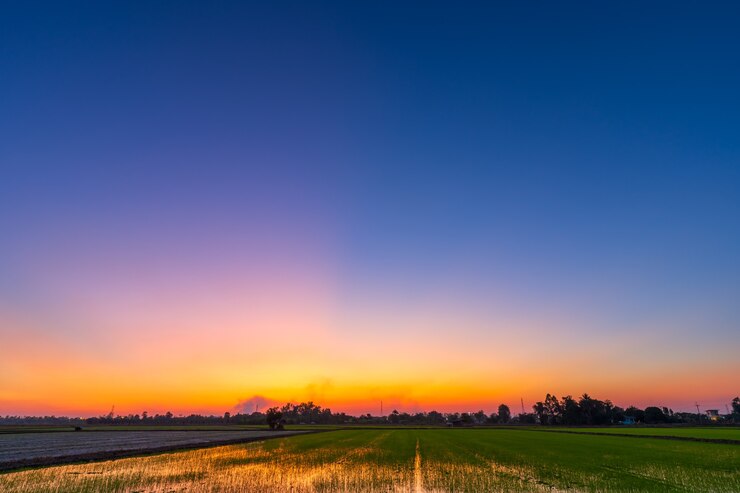 Photo 田園地帯やビーチのカラフルな雲景テクスチャ空気背景の青の明るく劇的な夕日の空。