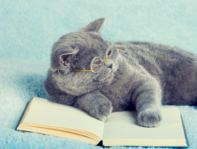 Photo a blue british cat is wearing glasses lying on the book