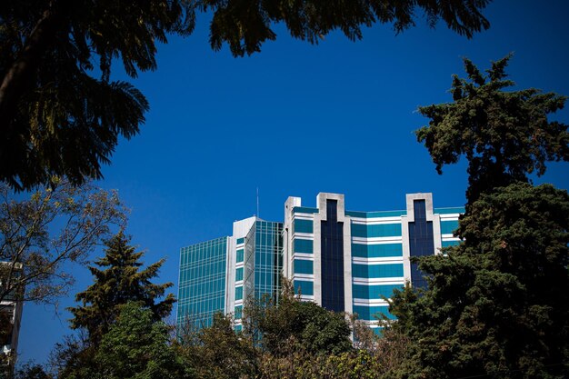 Photo blue building between the trees