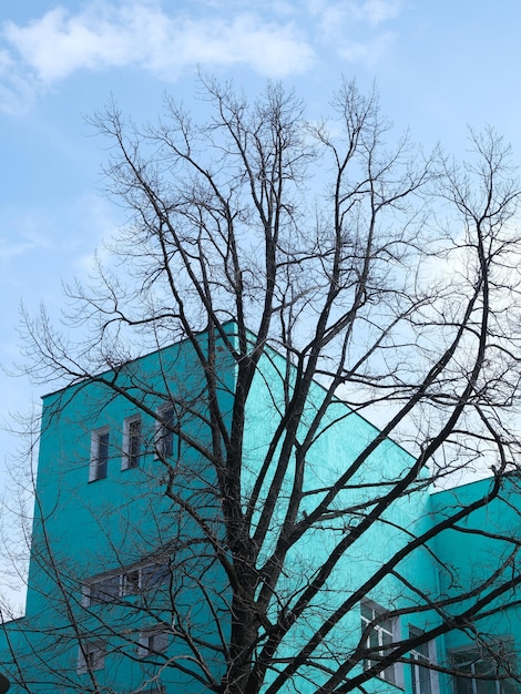 a blue building with a tree in front of it