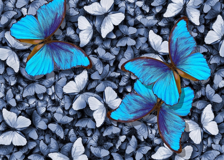 Photo blue butterflies in the garden