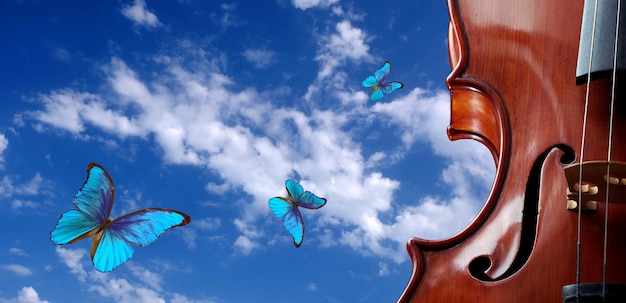 A blue butterfly flying in the sky