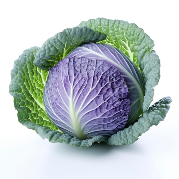 Blue cabbage vegetables isolated on white background