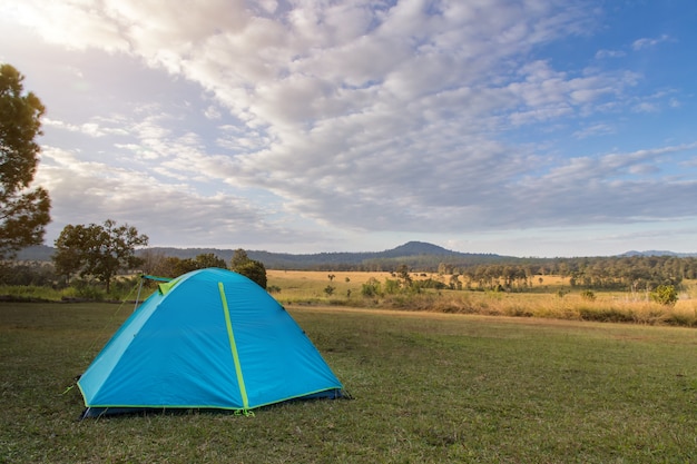 Синий кемпинг палатка на зеленом поле возле леса во время драматического восхода солнца в туманное утро летом, концепция приключений на открытом воздухе кемпинга