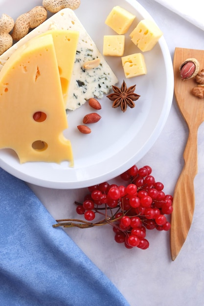 Blue cheese nuts berries and spices on a white plate Two types of cheese with honey and a whiteblue napkin on a light background Closeup of breakfast food