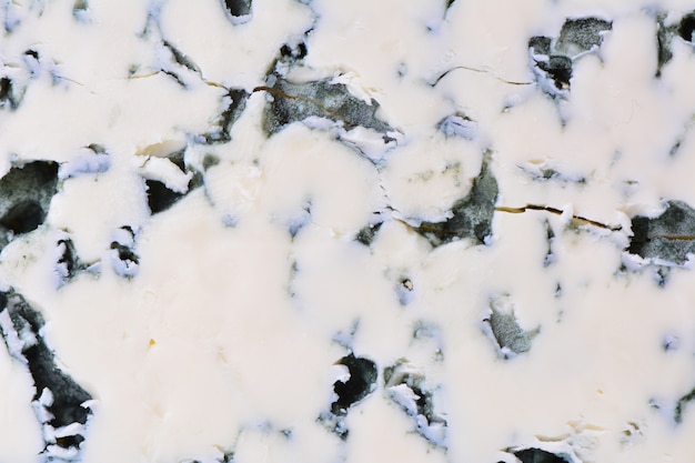 Photo blue cheese texture
