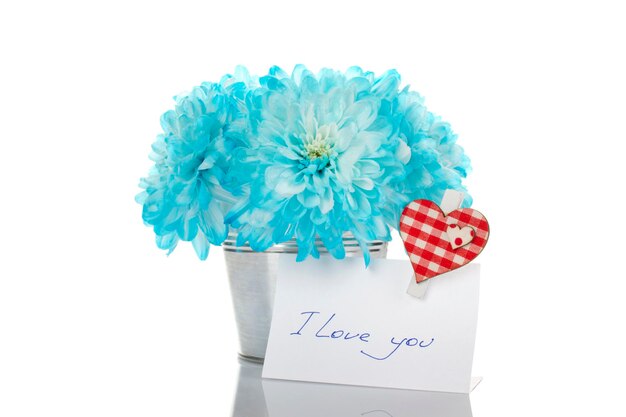 Blue chrysanthemums in a pail