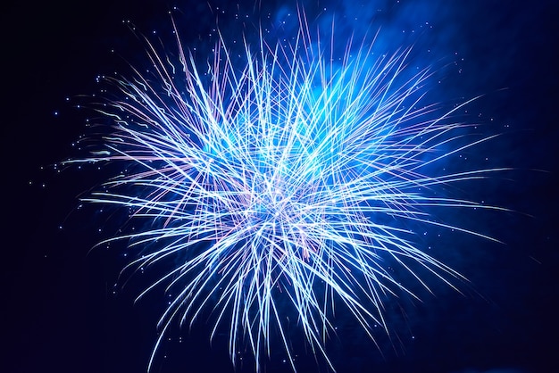 Blue colorful fireworks on the black sky background