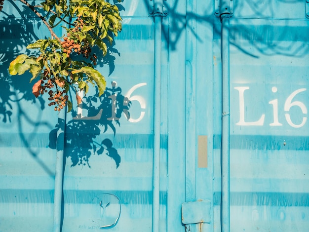 blue container with leaves and  shadow