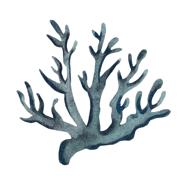 Blue corals watercolor illustration Isolated on white background