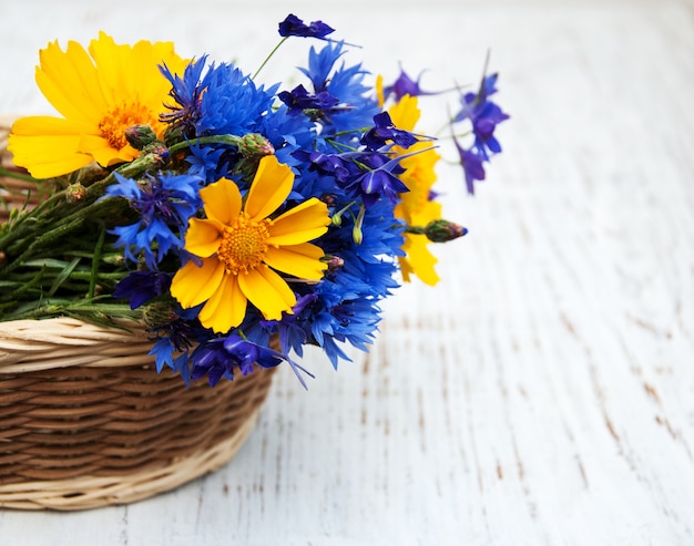 Blue cornflowers and cosmos flowers