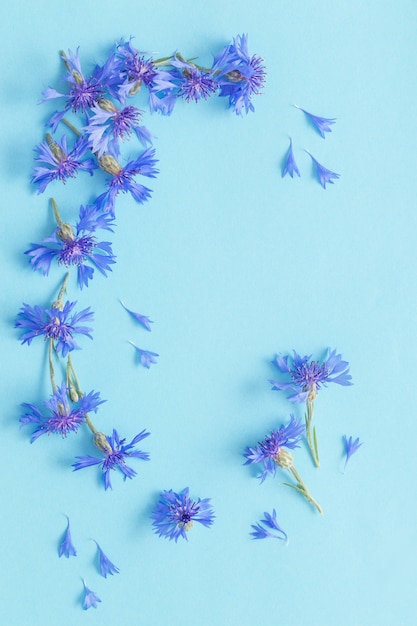 사진 파란색 종이 바탕에 파란 cornflowers