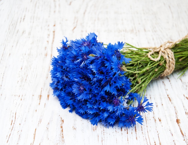 Blue cornflowers