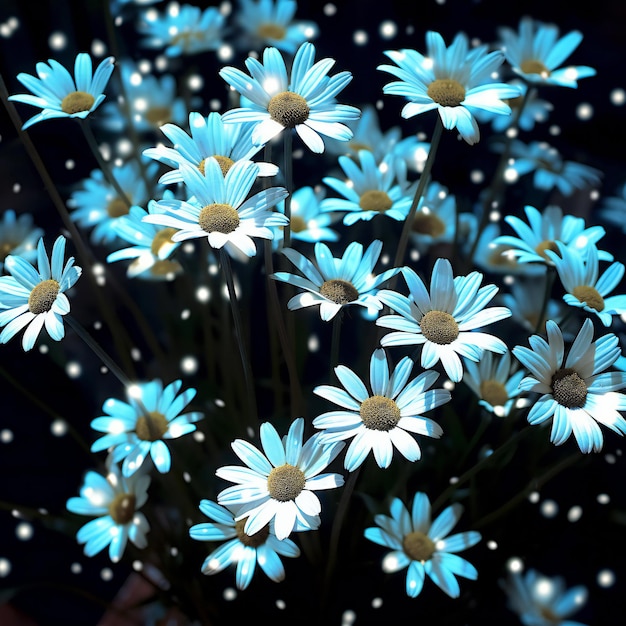 Blue daisies on the background of the night sky with stars