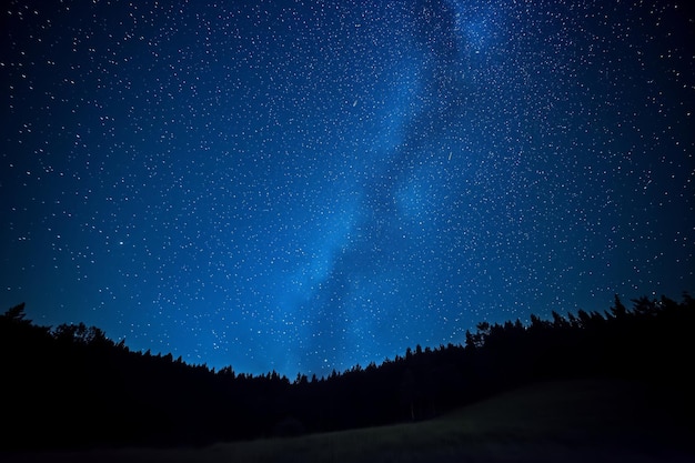 Blue dark night sky with many stars above field of trees milkyway cosmos