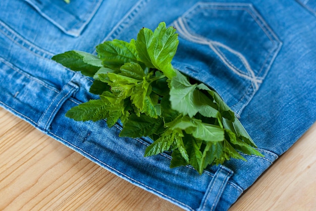 Blue denim shorts with green leaves in the pocket on a wooden background.High-quality photo.