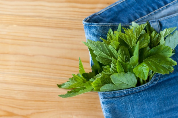 Blue denim shorts with green leaves in the pocket on a wooden backgroundHighquality photo