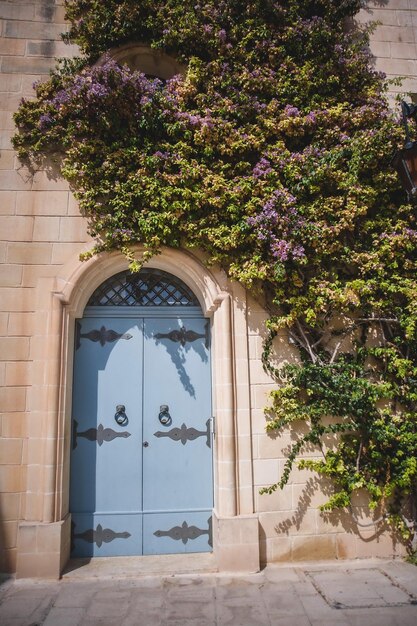 Photo a blue door with a number 3 on it