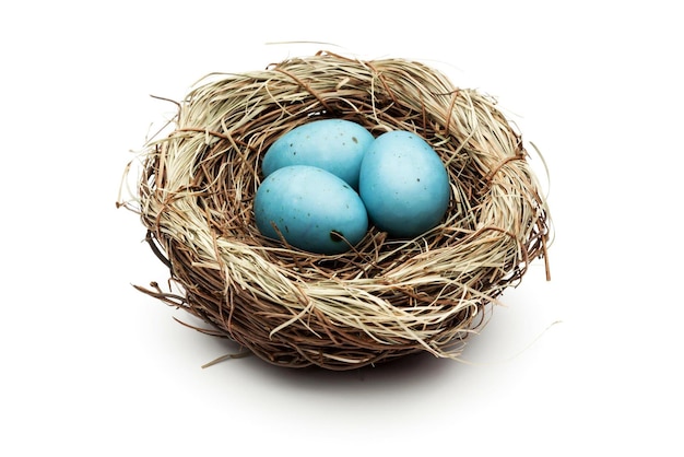 Blue Easter Eggs In Bird Nest