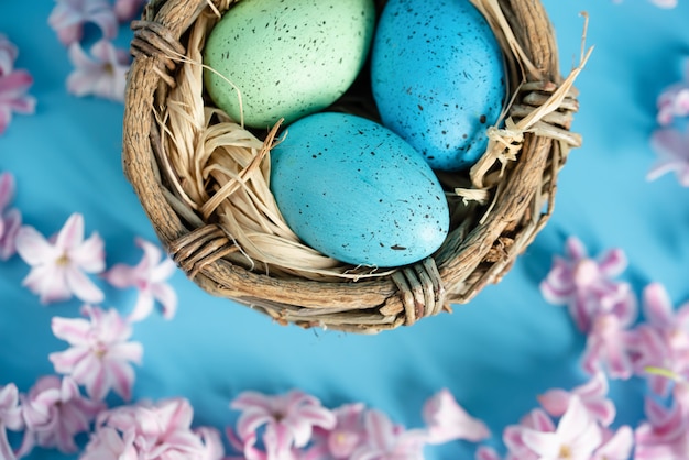blue Easter eggs in nest of spring flowers. Top view with copy space.