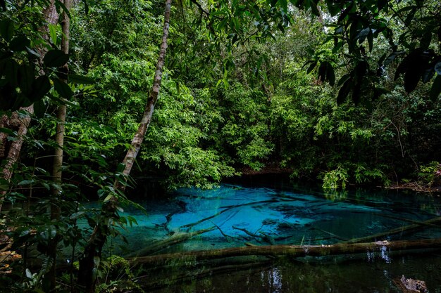 Blue or emerald pool in National park Sa Morakot Krabi Thailand