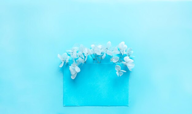 Busta blu con fiori blu ortensia all'interno su un modello di sfondo blu per newsletter e