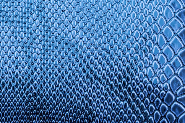 Snake skin pattern as a wallpaper  CanStock