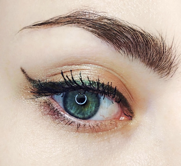 Photo blue eye gold green arrow eyeliner makeup eyebrow lash cosmetic swatch fashion macro photo