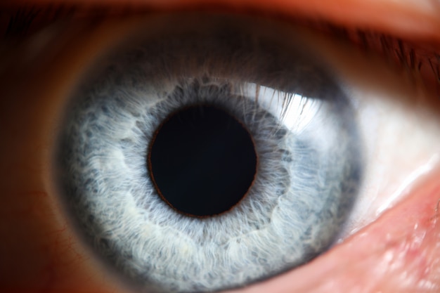 Blue eye male human super macro closeup. Healthy vision test 