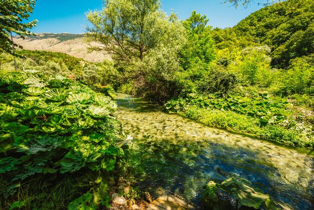 Photo blue eye spring near sarande albania syri i kalter