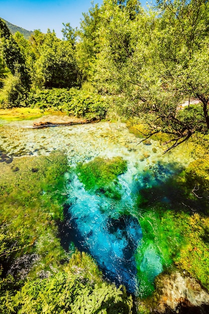 Photo blue eye spring near sarande albania syri i kalter