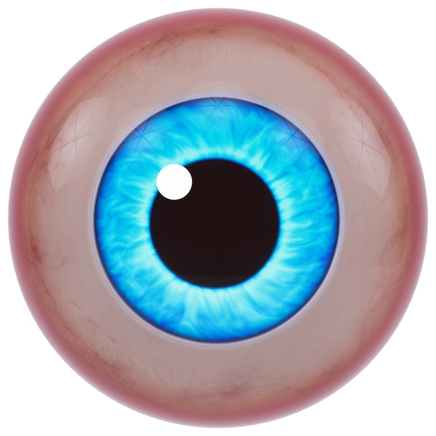 a blue eye with a pupil that has a pupil that says quot the pupil of the eye quot