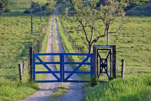 Фото Синие ворота фермы с грунтовой дорогой и деревьями