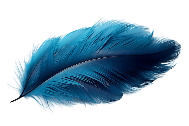 Photo blue feather isolated on transparent background ai